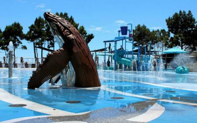 Hervey Bay With Kids: Our Top 5